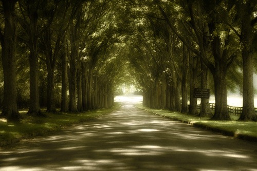 [vfp120_road_to_wisdom[3].jpg]