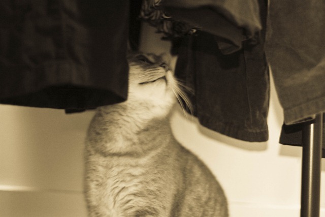 [JB_20091124_22.jpg]