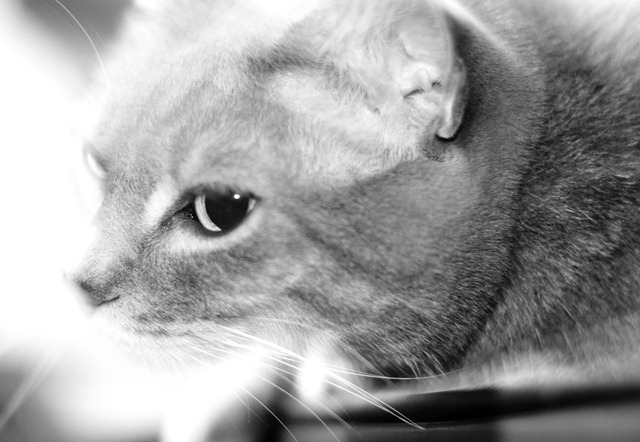 [JB_20090617_00282.jpg]