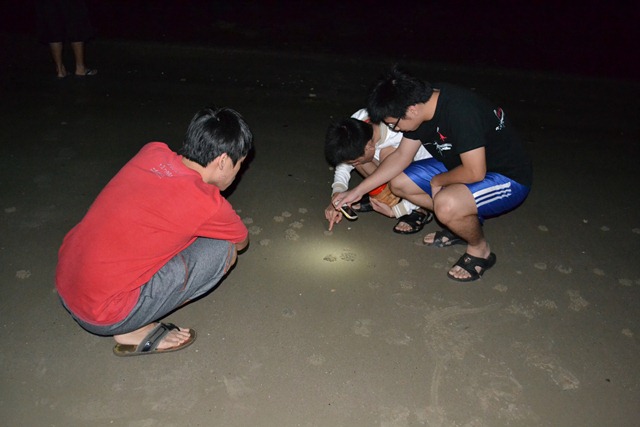 [DSC_0912[3].jpg]