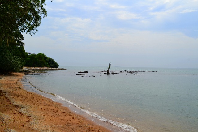 [DSC_0794[4].jpg]