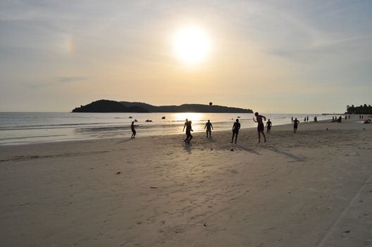 [DSC_13533.jpg]