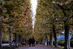 Not a bad place for a couple to take an autumn stroll