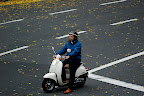 Like royalty, he rides on petals