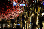 Gift-wrapped tree at Roppongi Hills