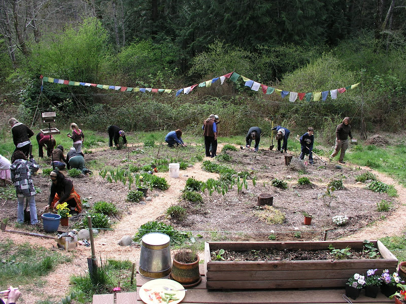 medicine wheel garden 2010