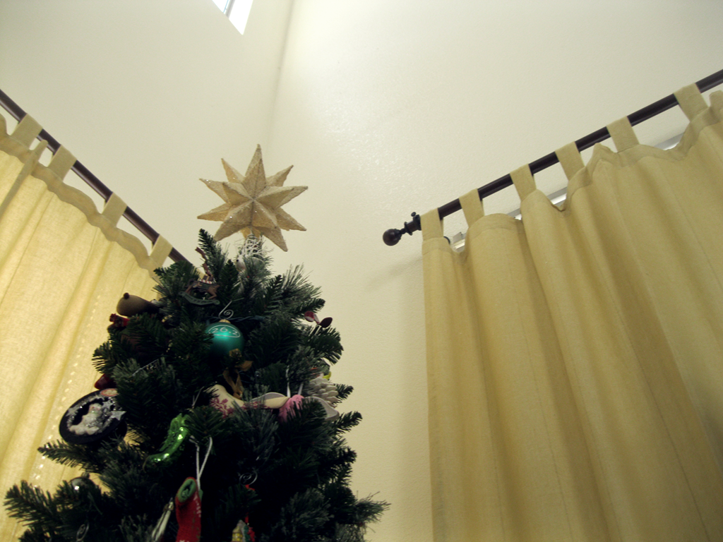 [Nugget-Vision-Christmas-Tree[3].png]