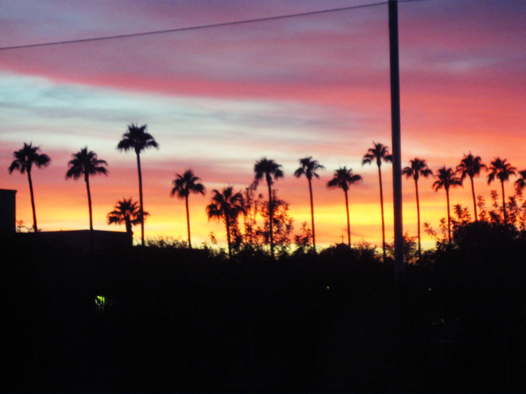 [Winter-Sunset[3].png]
