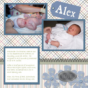 picasa image