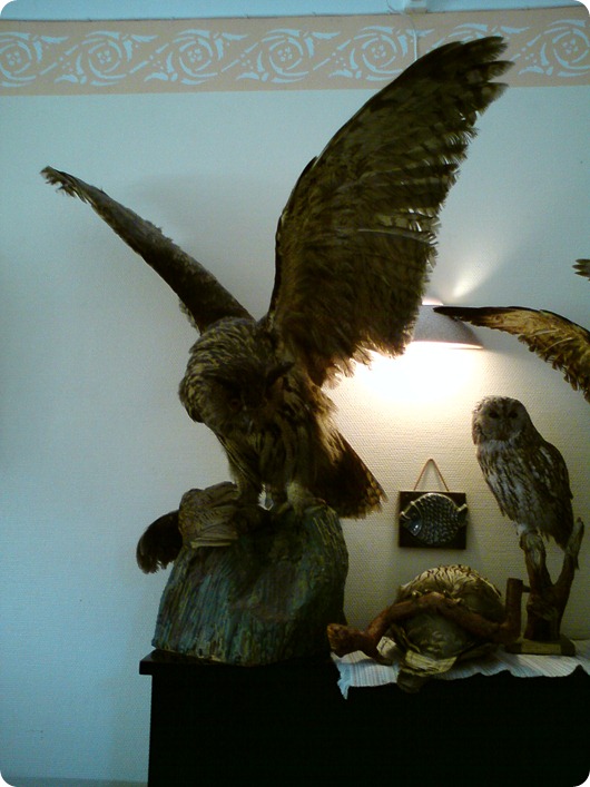 012011mobilbilder 072