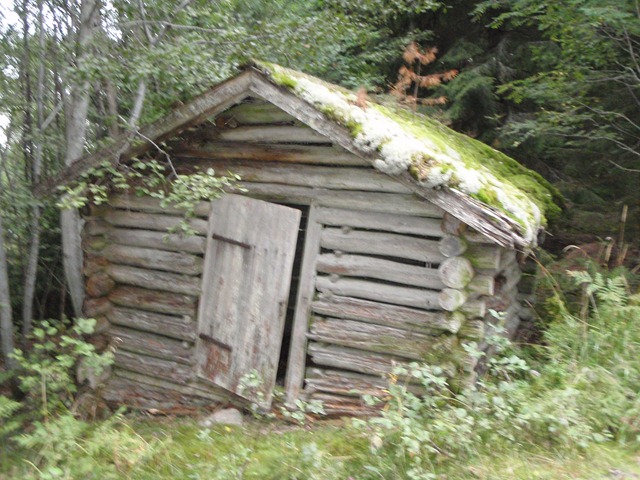 [P9030388[2].jpg]