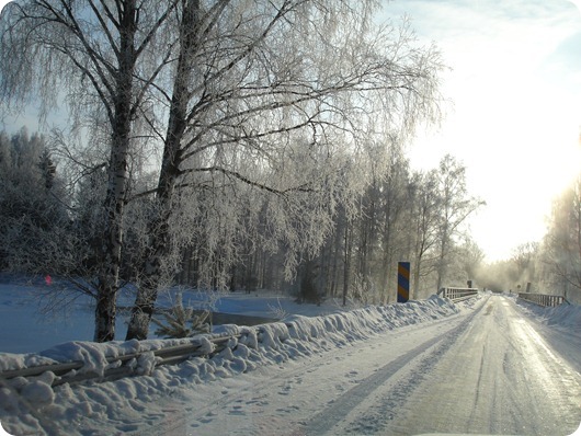 DSC05267 DSC05267