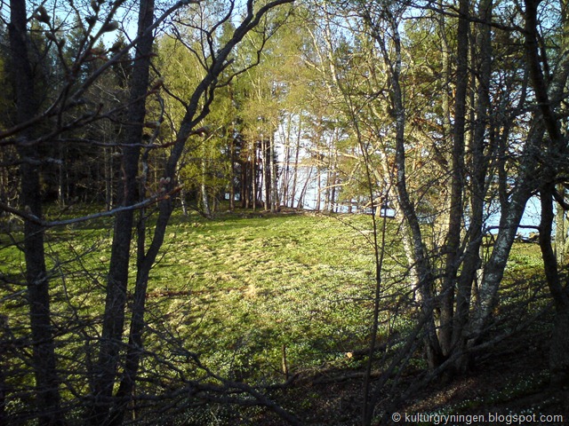 [20110427 062[13].jpg]