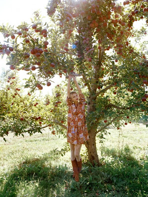 annawolf02.jpg