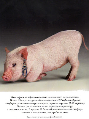 porquinhavogue03.jpg
