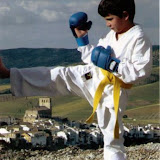 Concurso Fotografico Karate 08