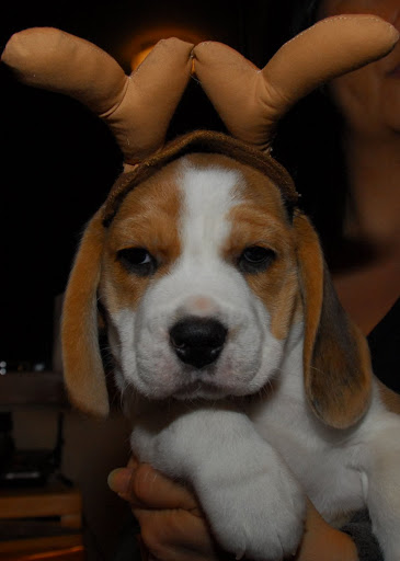 humiliating