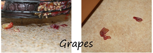 [Grapes[6].jpg]