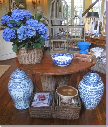 cdt blue hydrangea
