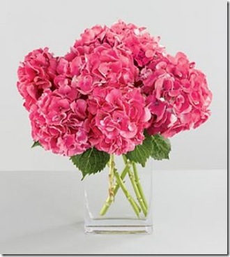 pink hydrangea by 416 florist dot com