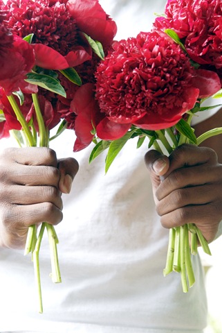 [sidra forman florist 2[3].jpg]