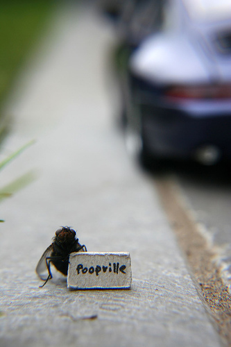 mr fly portrayal