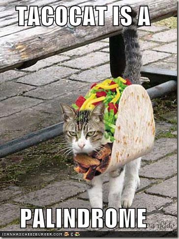 taco-cat-is-a-palindrome
