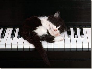 cat10