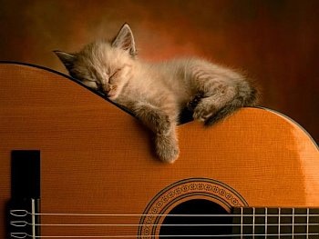 [cat08[3].jpg]