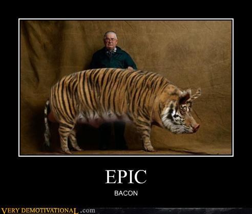 [bacon[3].jpg]