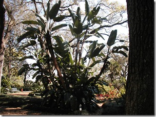 P1010047