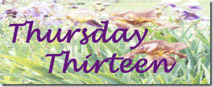T13 Flowers banner