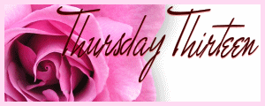 [ttbanner4[2].gif]