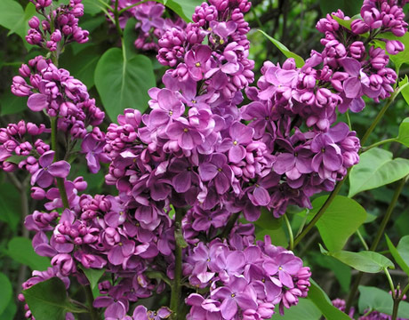 [image[9].png]