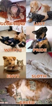 [seven-deadly-sins-cats-e1292637395584[1].jpg]