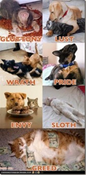 seven-deadly-sins-cats-e1292637395584