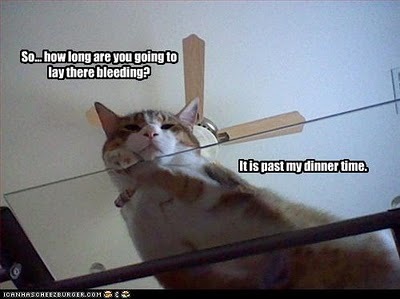 [reeeeezz[103].jpg]