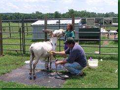 IMG_3069 IMG_3069