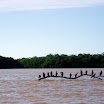 P1010153.JPG