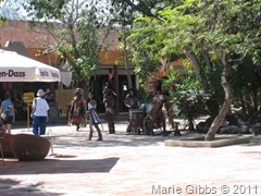 IMG_1496 IMG_1496