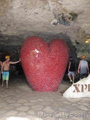 IMG_1562 IMG_1562
