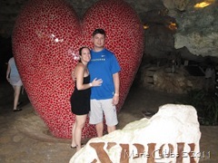 IMG_1565 IMG_1565