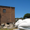415-italy-rome-ruins-palatine-hill.JPG