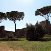 477-italy-rome-ruins-palatine-hill..jpg