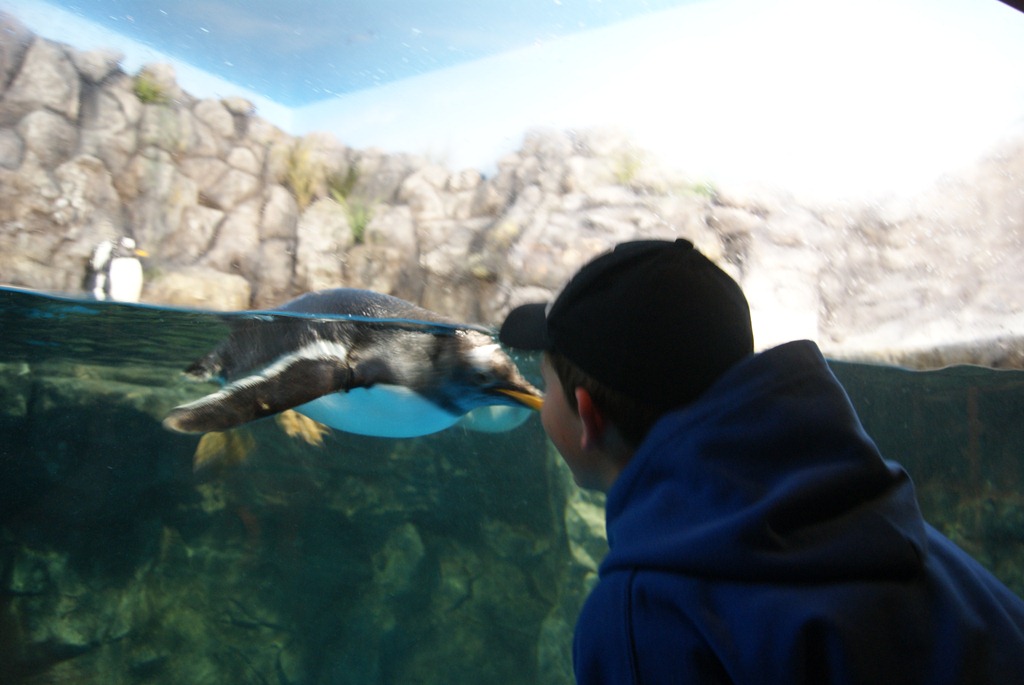 [Aquarium April 2011 022[3].jpg]