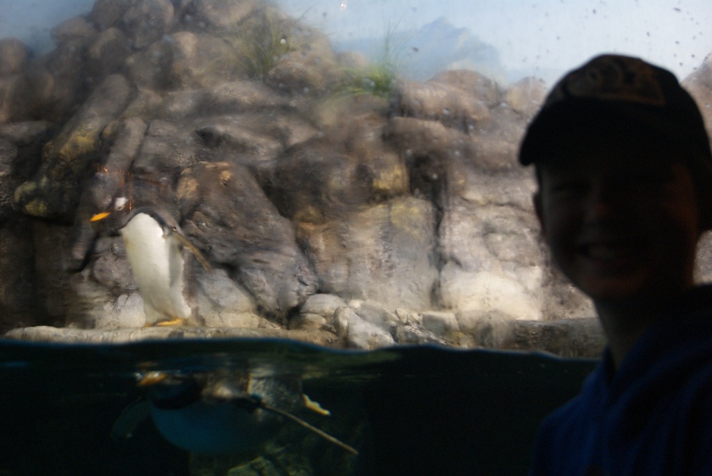 [Aquarium April 2011 027[3].jpg]