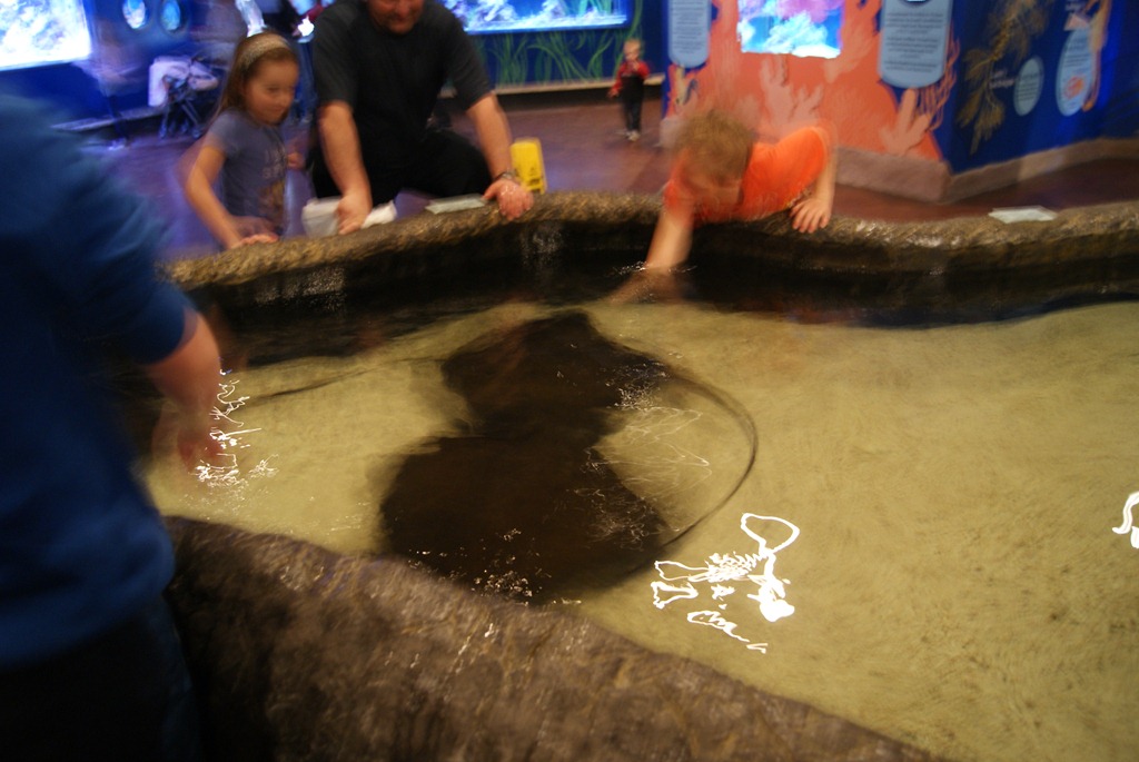 [Aquarium April 2011 029[3].jpg]