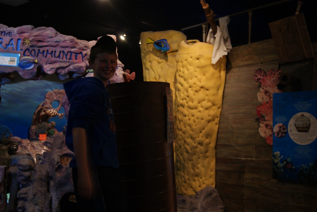 [Aquarium April 2011 031[3].jpg]