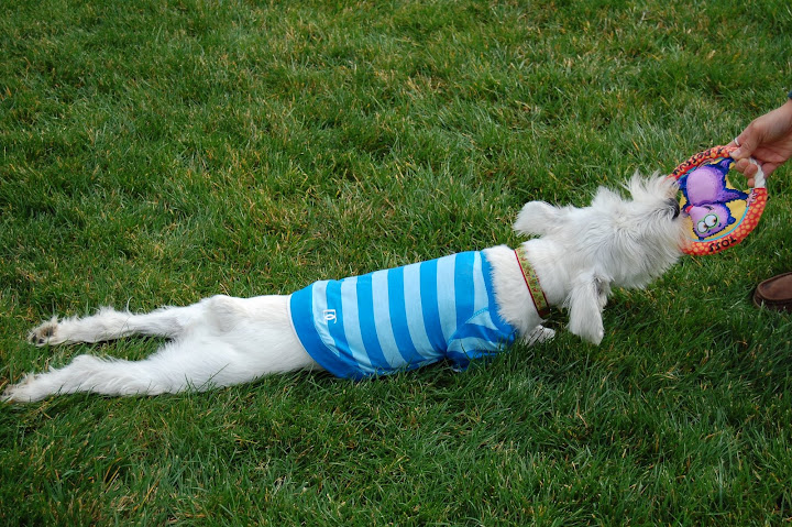 This is Maui... tired. haha.