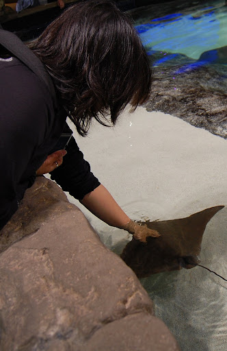 Almost as cool as the tidepools in the ocean.